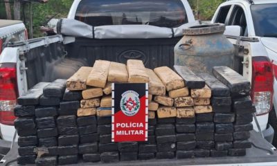 Entorpecentes apreendidos (Foto: Divulgação/Reprodução/Polícia Militar da Paraíba)